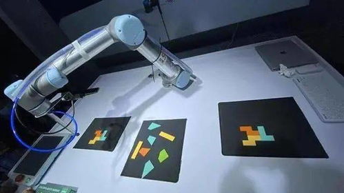 专家支招，黑科技亮相 这场展会连接武汉未来生活场景