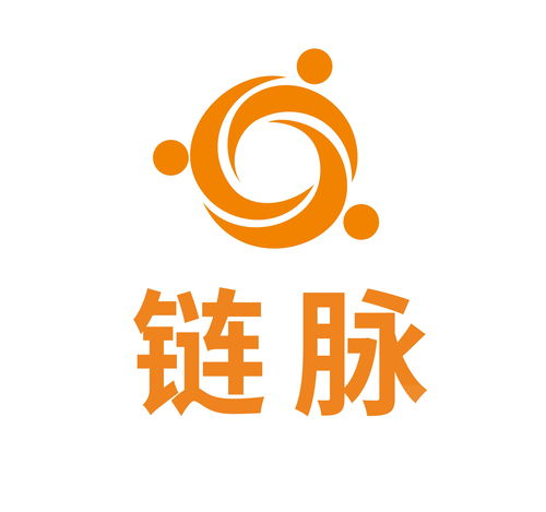 重庆链脉网络科技